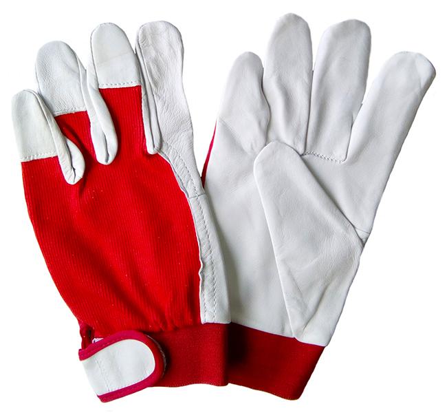 <a href="/en/sadr%C5%BEaj/glove-hobby">Glove-Hobby</a>